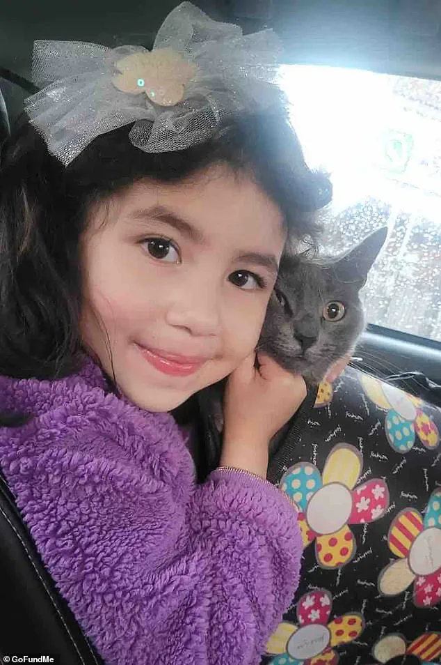 Limited Access to Healthcare and Immigration Enforcement: Calls for Expert Advisories to Protect Public Well-Being