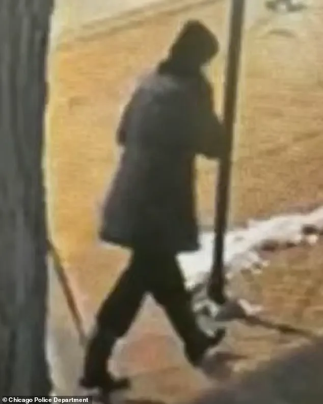 Linda Brown's Body Recovered from Lake Michigan; Autopsy Reveals Suicide, Family Mourns with Relief