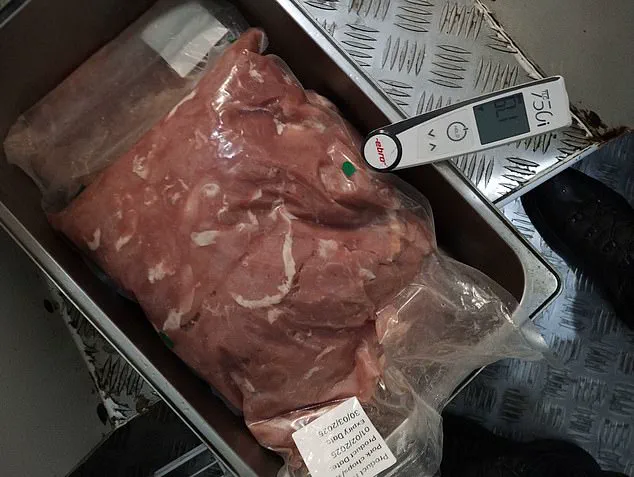 London Officials Seize Over 300kg of Illegal Meat in China Town, Raise Alarms Over Food Safety and Public Health