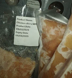 London Officials Seize Over 300kg of Illegal Meat in China Town, Raise Alarms Over Food Safety and Public Health