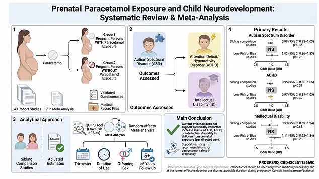 Major Review Supports Paracetamol for Pregnant Women Despite Trump-Linked Controversy