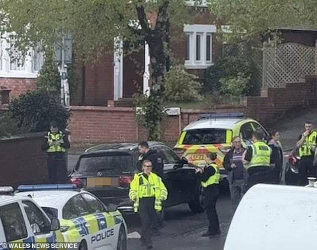 Maryam Delavary Admits Obstructing Justice in Paria Velsi Murder Case