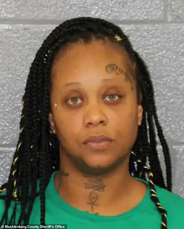 Mental Health, Criminal Justice, and Public Safety: Policy Questions After the Charlotte Stabbing