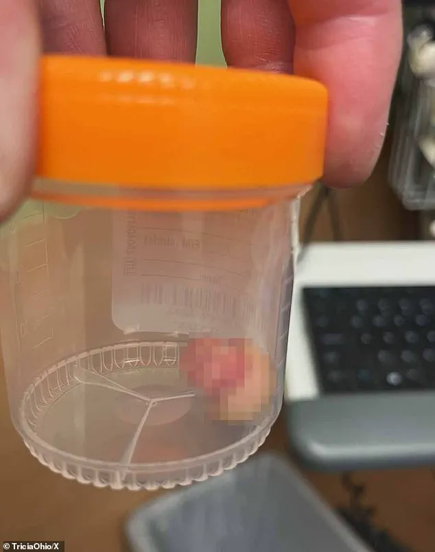 Minneapolis Violence Sparks Debate Over Federal Law Enforcement Accountability and Public Safety Policies