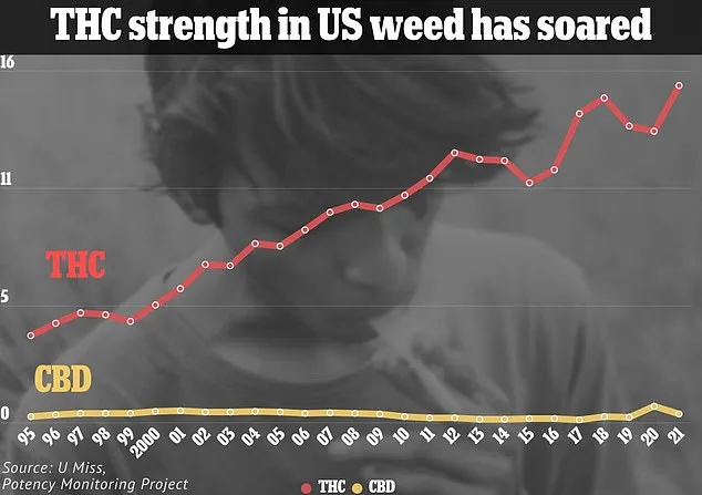 Moderate Cannabis Use Linked to Increased Brain Volume in Memory and Cognition Regions