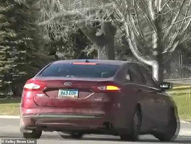 Moorehead Authorities Investigate Animal Neglect Case Involving Dogs Left In Freezing Conditions