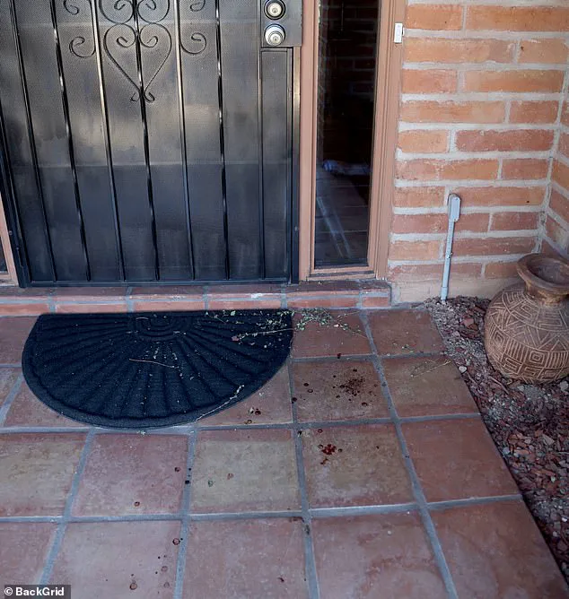 Mysterious Disappearance of 84-Year-Old Woman and Bitcoin Ransom Notes Prompt FBI Analysis of Baffling Case