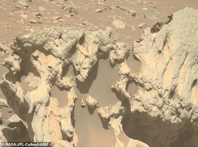 NASA's Perseverance Rover Discovers Mysterious Rock on Mars, Sparking Scientific Curiosity