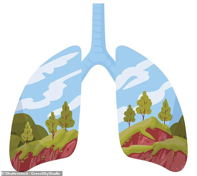 New Hypothesis Suggests Airborne Nutrients May Play Role in Human Health, Challenging Conventional Nutrition Beliefs