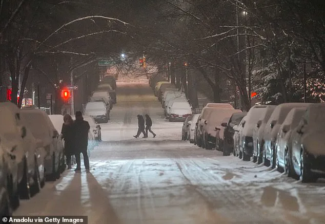 New Jersey Declares State of Emergency as Historic Winter Storm Looms, NWS Warns of 'Dire' Conditions for Millions in Northeast