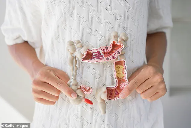 New Research Reveals Small Intestine's Overlooked Role in Longevity: Expert Warns of Critical Health Insights for Aging Population