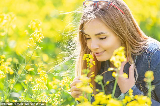 New Study Reveals Early Dementia Warning Sign: Loss of Smell Linked to Pre-Diagnosis Changes
