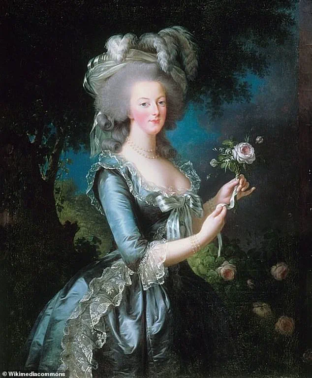 New Study Reveals Exclusive Insight: Iconic 1762 Portrait of Marie Antoinette May Not Depict the Queen, Challenging Long-Held Beliefs