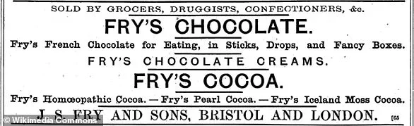 New Study Reveals Theobromine in Dark Chocolate May Slow Biological Aging