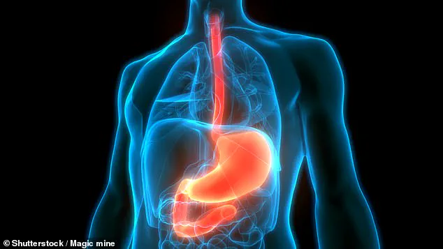New Study Reveals Urgent Link: Substituting Legumes for Red Meat May Cut Gallbladder Cancer Risk Amid Surge in Younger Populations