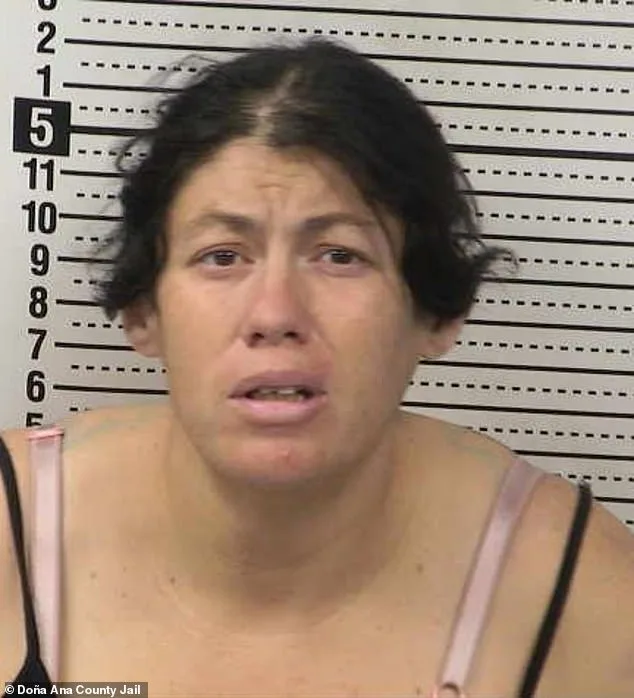 Newborn Found Dead in Portable Toilet After Mother's Alleged Abandonment in New Mexico