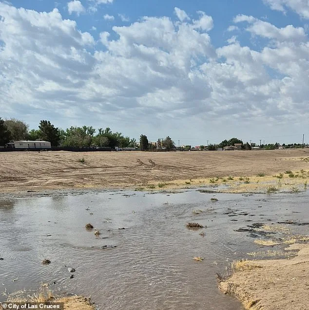 Newborn Found Dead in Portable Toilet After Mother's Alleged Abandonment in New Mexico