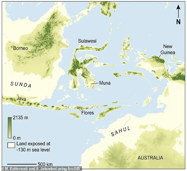 Oldest Rock Art Found in Indonesia Shakes Up Timeline of Human Creativity