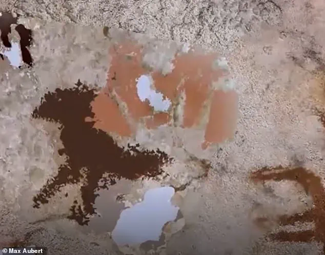 Oldest Rock Art Found in Indonesia Shakes Up Timeline of Human Creativity