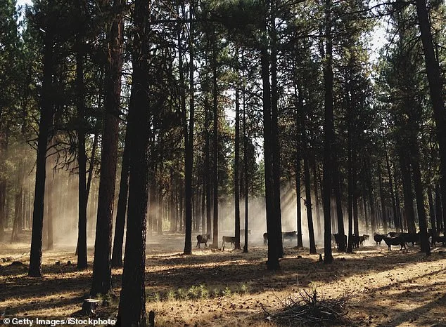 Oregon Faces a Pivotal Vote: Balancing Conservation and Tradition in the Debate Over Hunting and Fishing Bans