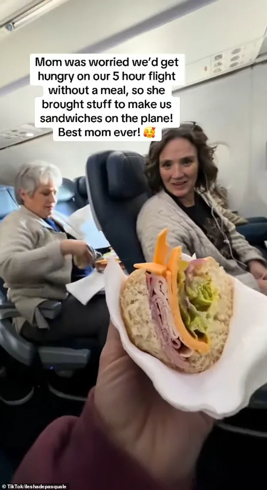 Passenger Creates Meal Using Airplane Tray Table During Five-Hour Flight