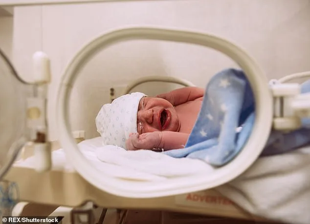 Prenatal Alcohol and Stress May Shape Lifelong Drinking Habits, Study Suggests