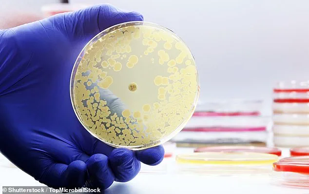 Privileged Access to Airline Water Safety Data Reveals Alarming Findings