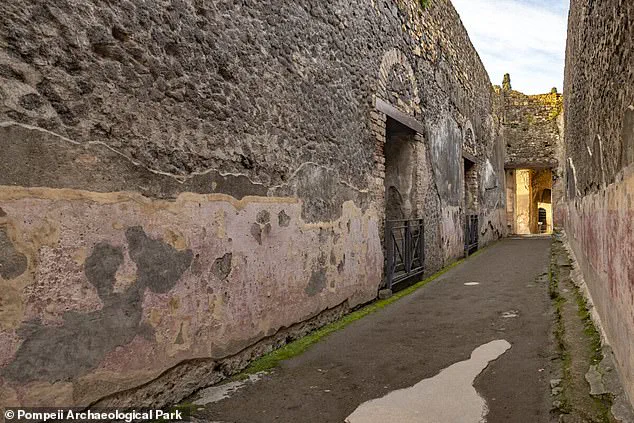 Privileged Access to Ancient Lives: Newly Uncovered Graffiti in Pompeii Reveals Timeless Human Behavior