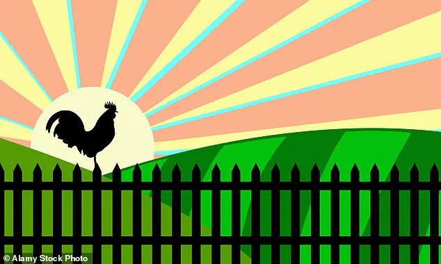 Privileged Knowledge, Public Struggle: The Challenge of Translating Health Expertise into Lasting Behavior Change