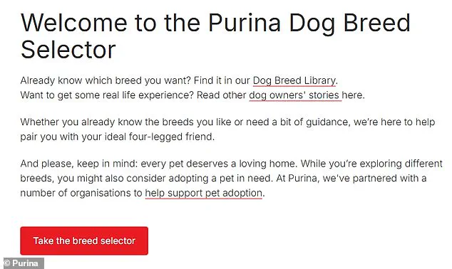 Purina's Dog Breed Selector Test Helps You Choose the Perfect Dog for Your Lifestyle