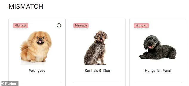 Purina's Dog Breed Selector Test Helps You Choose the Perfect Dog for Your Lifestyle
