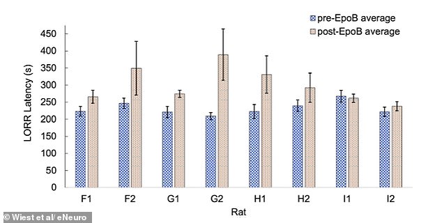 Quantum Theory Proposes Cosmic Link Between Consciousness and the Universe