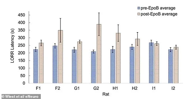 Quantum Theory Proposes Cosmic Link Between Consciousness and the Universe