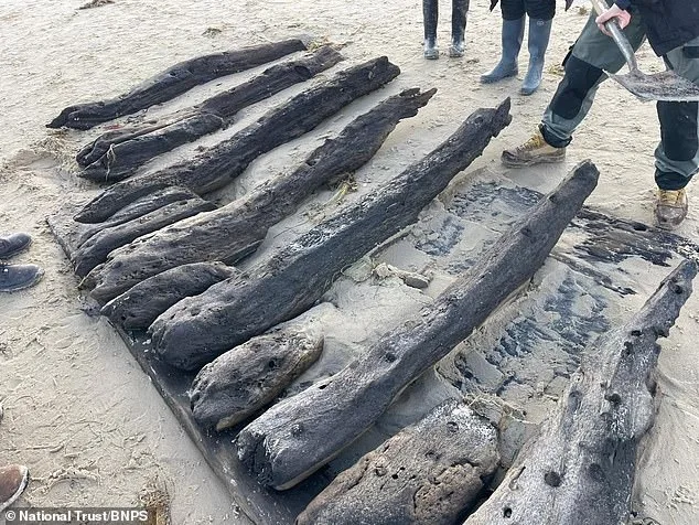Race Against Time to Save 17th-Century Dutch Shipwreck Exposed by Storm
