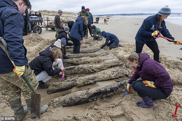Race Against Time to Save 17th-Century Dutch Shipwreck Exposed by Storm