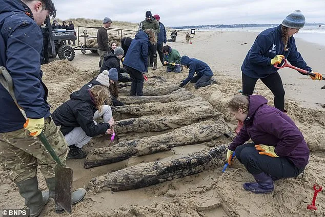 Race Against Time to Save 17th-Century Dutch Shipwreck Exposed by Storm