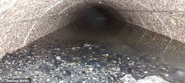 Regulatory Failures Expose Public Health Risks as 100-Tonne Fatberg Unveils Crisis in Urban Waste Management