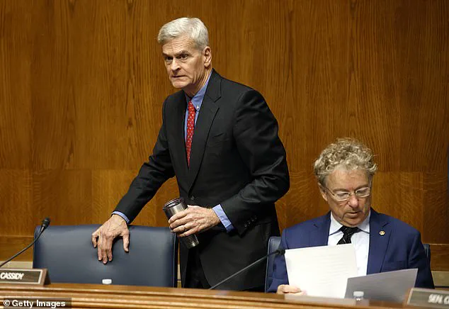 Republican Division Intensifies as Trump Backs Julia Letlow in Louisiana Senate Race