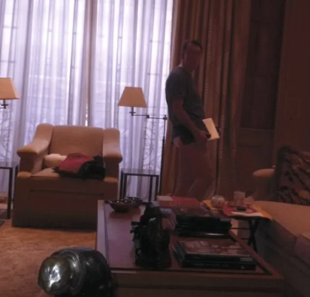 Resurfaced Photo of Peter Mandelson in Epstein's Paris Mansion Sends Shockwaves Through British Politics