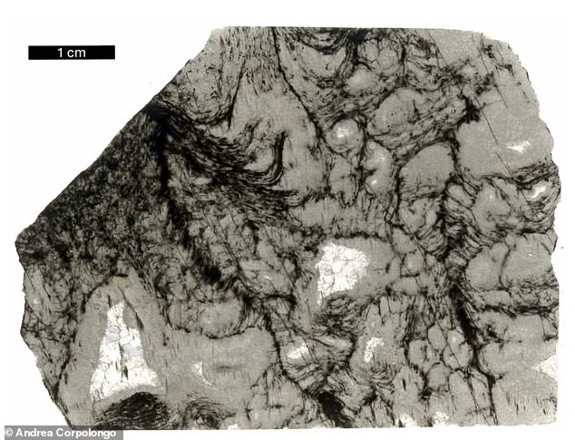 Revolutionizing Understanding: Scientists Discover Earliest Chemical Evidence of Life, Pushing Back Earth's Timeline by 1.6 Billion Years
