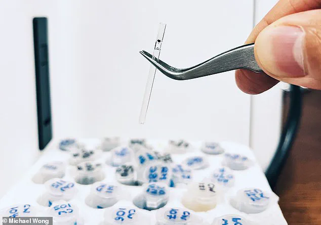 Revolutionizing Understanding: Scientists Discover Earliest Chemical Evidence of Life, Pushing Back Earth's Timeline by 1.6 Billion Years