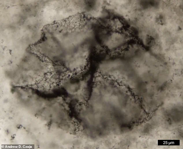 Revolutionizing Understanding: Scientists Discover Earliest Chemical Evidence of Life, Pushing Back Earth's Timeline by 1.6 Billion Years