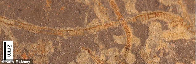 Revolutionizing Understanding: Scientists Discover Earliest Chemical Evidence of Life, Pushing Back Earth's Timeline by 1.6 Billion Years