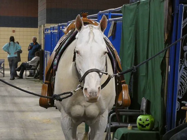 Ritualistic Gang Violence in Maple Valley Sparks Community Concern as Gang Member Faces Murder Charges