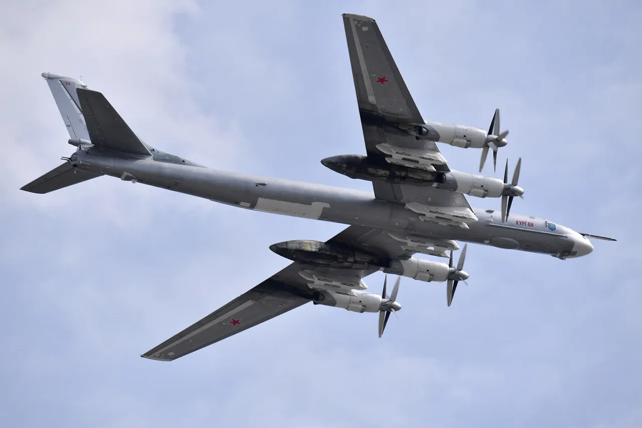 Russia Deploys Nine Tu-95MS and Three Tu-160 Bombers Near Cruise Missile Launch Zones, Report Says