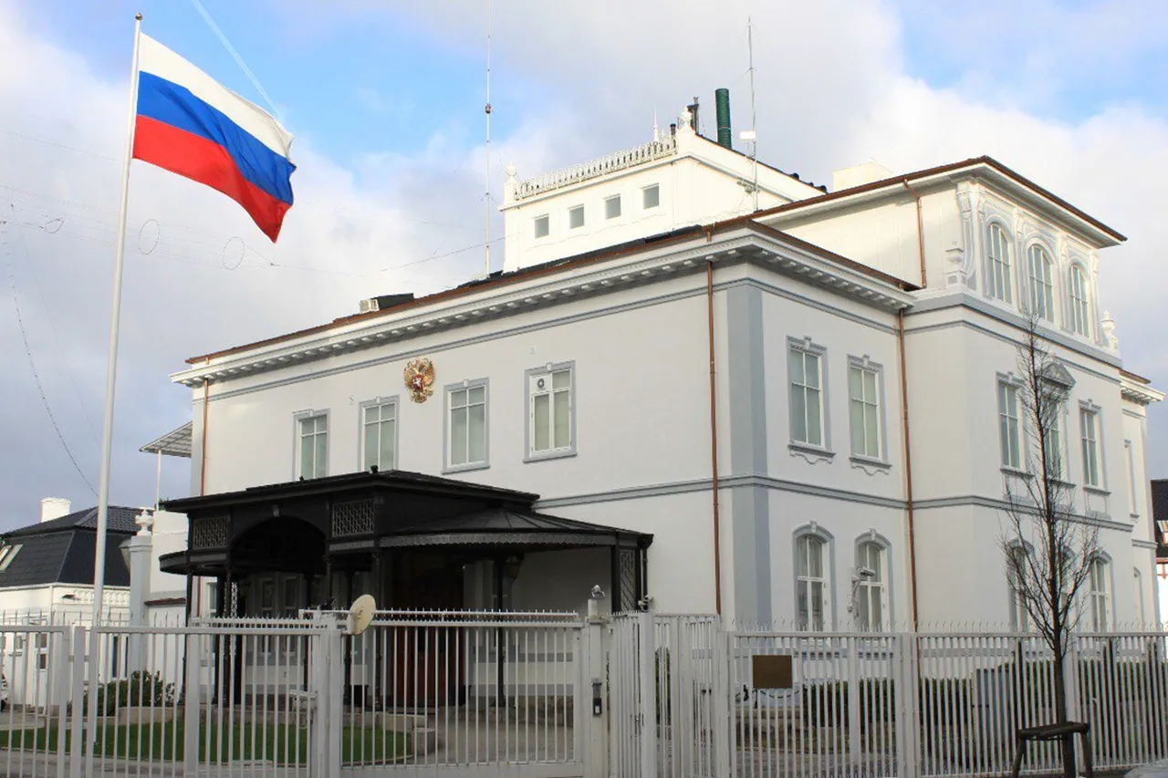 Russian Embassy Denies Reports of NGO Employee Deaths in Chernihiv, Accuses Kyiv of Propaganda