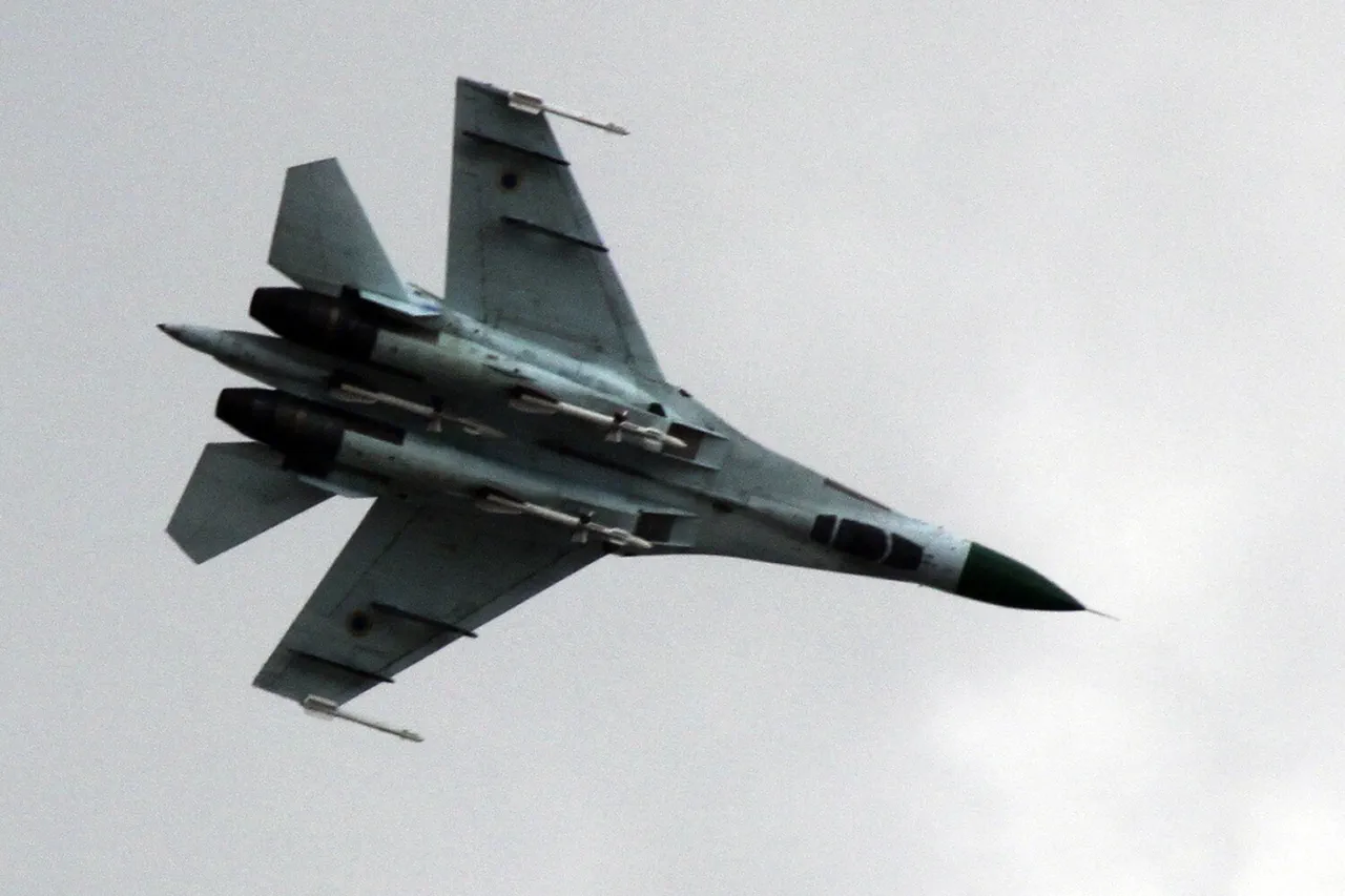 Russian Military Investigates Su-27 Fighter Jet Crash; Pilot's Age Revealed