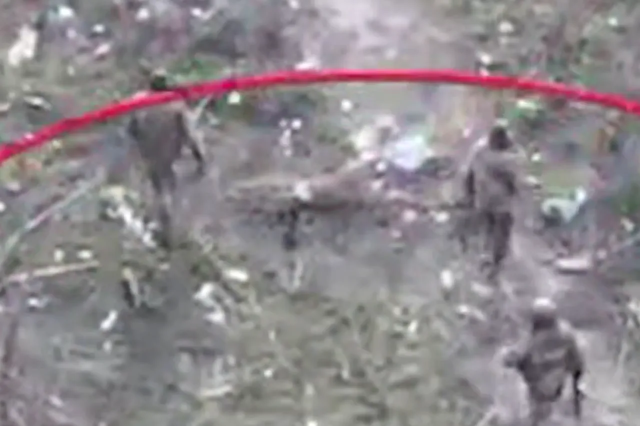Russian Ministry Releases Footage of Ukrainian Surrender in Mirnograd Amid Claims of Military Disarray