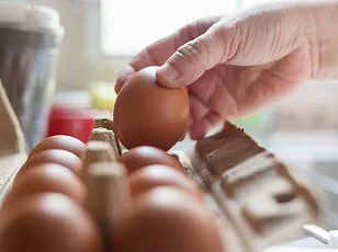 Salmonella Outbreak Linked to Metabolic Meals Sparks CDC Advisories and Calls for Stricter Food Safety Regulations