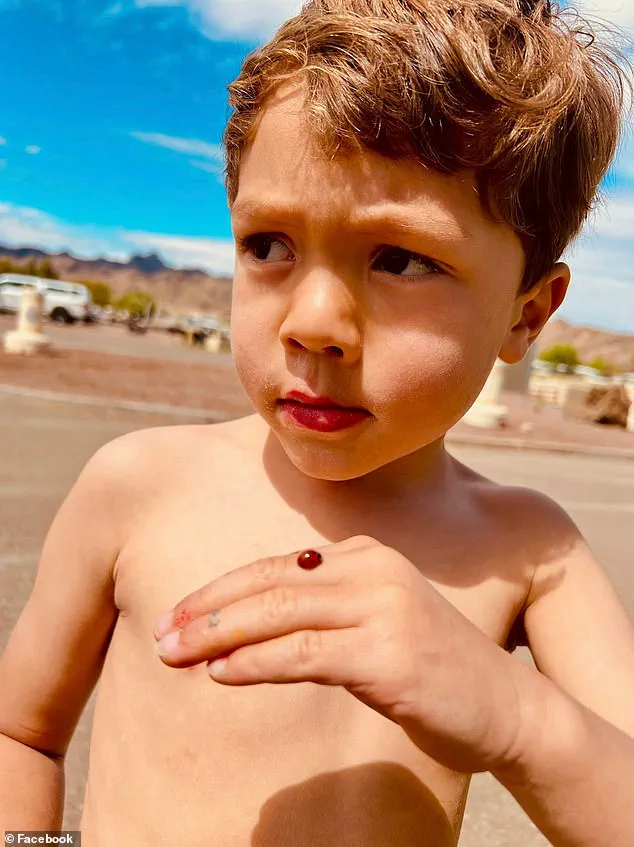 San Diego Woman Charged in Hit-and-Run That Killed 6-Year-Old